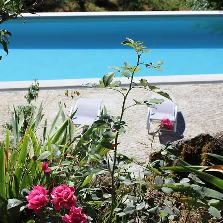 Hébergement de vacances Renoviertes Fuer 7 Personen In By Interhome Tondela