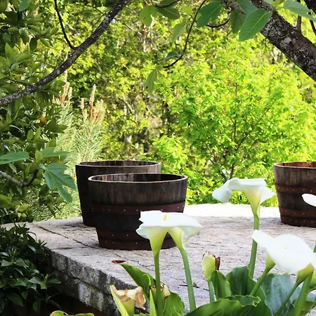 Tatil Evi Renoviertes Fuer 7 Personen In By Interhome