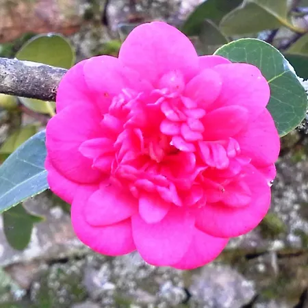 Renoviertes Fuer 7 Personen In By Interhome