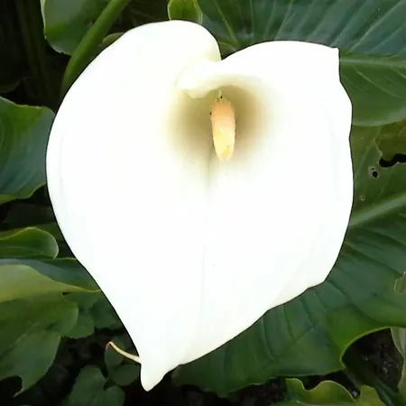 Renoviertes Fuer 7 Personen In By Interhome *