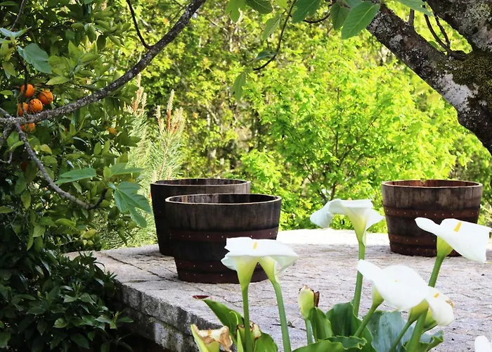 Сasa de vacaciones Renoviertes Fuer 7 Personen In By Interhome