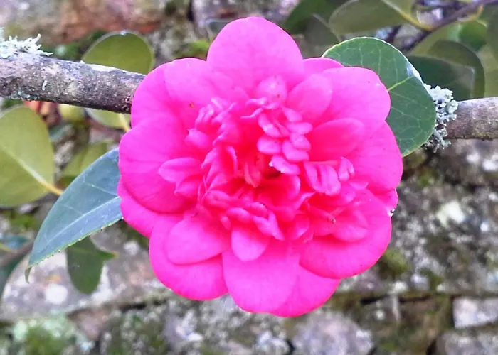 Renoviertes Fuer 7 Personen In By Interhome