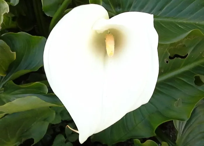 Renoviertes Fuer 7 Personen In By Interhome *